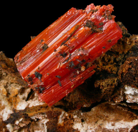 Crocoite from Adelaide Mine, Zeehan District, Tasmania, Australia