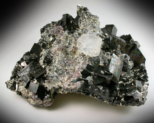 Magnetite (rare cubic crystal form) with Sphalerite and Halite from ZCA Mine No. 4, Fowler Ore Body, 2500' Level, Balmat, St. Lawrence County, New York