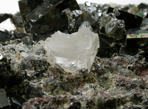 Magnetite (rare cubic crystal form) with Sphalerite and Halite from ZCA Mine No. 4, Fowler Ore Body, 2500' Level, Balmat, St. Lawrence County, New York