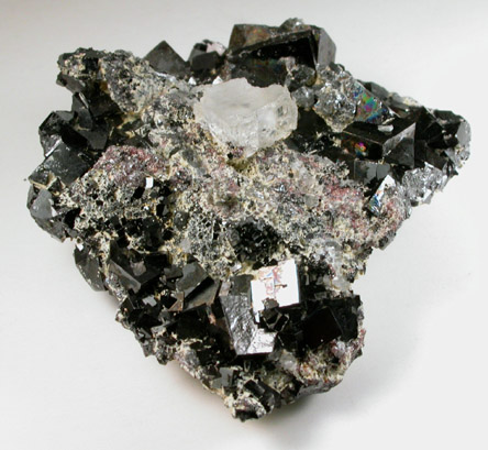 Magnetite (rare cubic crystal form) with Sphalerite and Halite from ZCA Mine No. 4, Fowler Ore Body, 2500' Level, Balmat, St. Lawrence County, New York