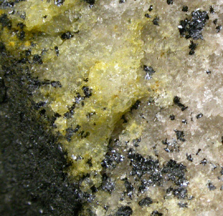 Straczekite with Schoderite from Union Carbide Mine, Wilson Springs, Garland County, Arkansas (Type Locality for Straczekite)