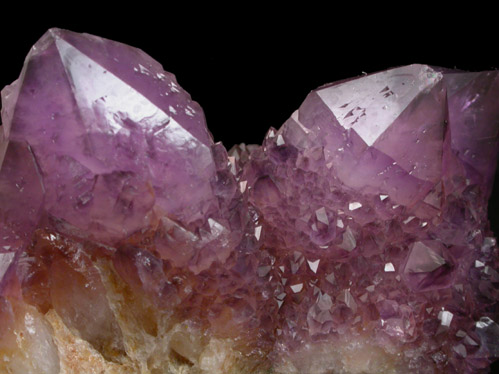 Quartz var. Amethyst (Cactus Quartz) from Boekenhouthoek area, Mpumalanga Province, South Africa