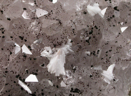 Pectolite, Quartz, Hematite from Prospect Park Quarry, Prospect Park, Passaic County, New Jersey