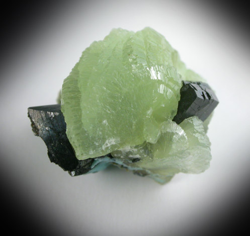 Babingtonite and Prehnite from Lane's Quarry, Westfield, Hampden County, Massachusetts