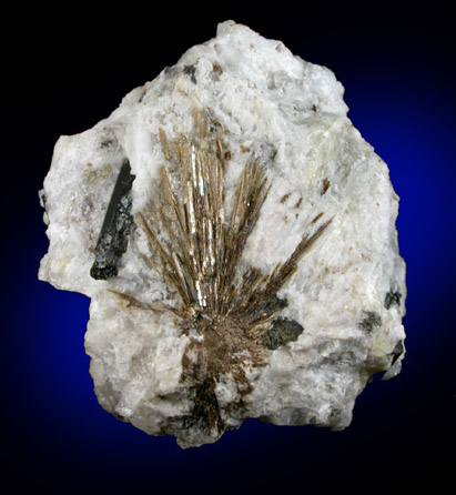 Astrophyllite with Aegirine in Albite from Poudrette Quarry, Mont Saint-Hilaire, Québec, Canada
