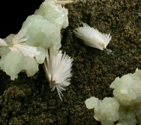 Natrolite and Prehnite from (New Street Quarry), Paterson, Passaic County, New Jersey