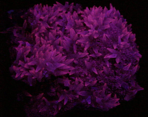 Calcite and Celadonite on Quartz var. Amethyst from Castelinho Mine, near Frederico Westphalen, Alto Uruguai, Rio Grande do Sul, Brazil