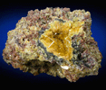 Wulfenite with Mimetite and Willemite from San Francisco Mine, Cerro Prieto, north of Cucurpe, Sonora, Mexico