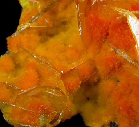 Mimetite on Wulfenite from San Francisco Mine, Cerro Prieto, north of Cucurpe, Sonora, Mexico