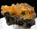 Wulfenite with Mimetite from San Francisco Mine, Cerro Prieto, north of Cucurpe, Sonora, Mexico