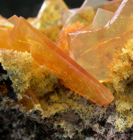 Wulfenite with Mimetite from San Francisco Mine, Cerro Prieto, north of Cucurpe, Sonora, Mexico