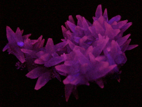 Calcite and Celadonite on Quartz var. Amethyst from Castelinho Mine, near Frederico Westphalen, Alto Uruguai, Rio Grande do Sul, Brazil