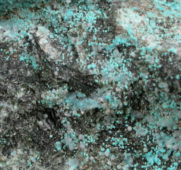 Mcguinnessite and Hydromagnesite from Rockville Quarry, Montgomery County, Maryland