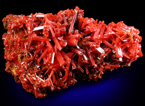 Crocoite from Adelaide Mine, Zeehan District, Tasmania, Australia