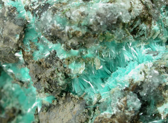 Aurichalcite from Bisbee, Warren District, Cochise County, Arizona