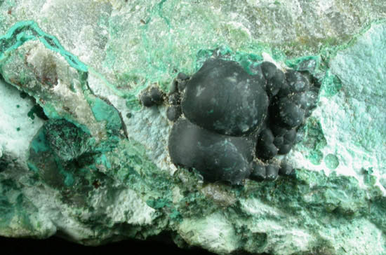 Tenorite var. Melaconite on Chrysocolla from Ray Mine, Mineral Creek District, Pinal County, Arizona