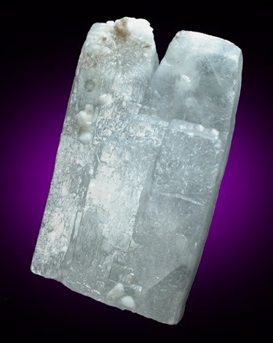 Celestine from Woodville, Sandusky County, Ohio