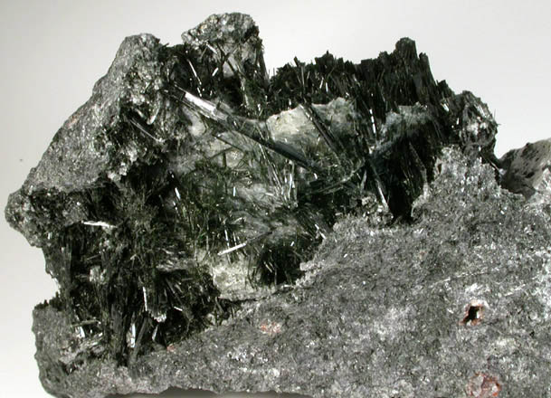 Actinolite in Calcite-filled Vein from Goshen Stone Co. Quarry, Goshen, Hampshire County, Massachusetts