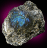 Anorthite var. Labradorite from Nain, Labrador, Newfoundland and Labrador Province, Canada (Type Locality for Labradorite)