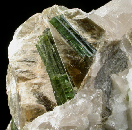 Elbaite Tourmaline in Muscovite from Strickland Quarry, Collins Hill, Portland, Middlesex County, Connecticut