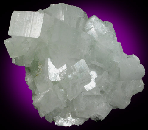 Hydroxyapophyllite-(K) (formerly apophyllite-(KOH)) on Prehnite from Fairfax Quarry, 6.4 km west of Centreville, Fairfax County, Virginia