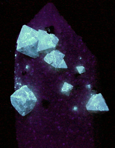 Scheelite, Pyrite, Dolomite on Quartz from Yaogangxian Mine, Nanling Mountains, Hunan Province, China