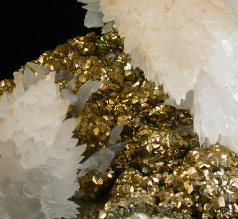 Pyrite and Calcite from Zacatecas, Mexico