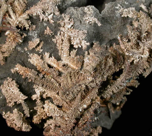 Silver in Arsenic from Pohla Mine, near Crottendorf, Erzgebirge, Saxony, Germany