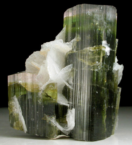 Elbaite Tourmaline with Albite var. Cleavelandite from Gilgit District, Gilgit-Baltistan, Pakistan