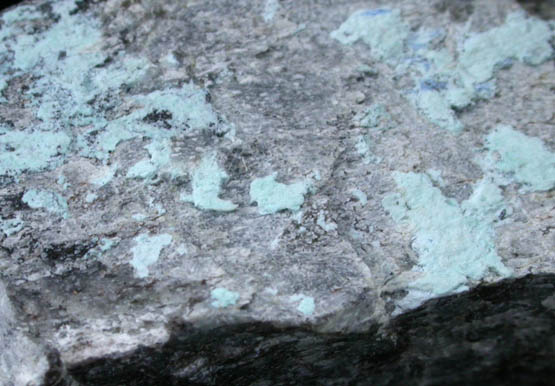 Mcguinnessite with Callaghanite from Gabbs Magnesite-Brucite Mine, Gabbs District, Nye County, Nevada (Type Locality for Callaghanite)