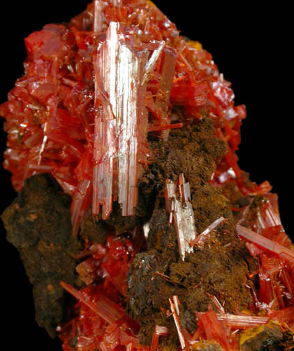Crocoite with Gibbsite from Red Lead Mine, Dundas, Tasmania, Australia