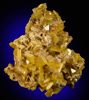 Wulfenite from Touissit Mine, 21 km SSE of Oujda, Jerada Province, Oriental, Morocco