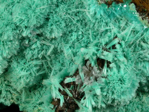 Aurichalcite from 79 Mine, Banner District, near Hayden, Gila County, Arizona