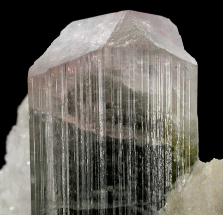 Elbaite Tourmaline in Albite from Stak Nala, Skardu Road, Baltistan, Gilgit-Baltistan, Pakistan