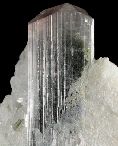 Elbaite Tourmaline in Albite from Stak Nala, Skardu Road, Baltistan, Gilgit-Baltistan, Pakistan