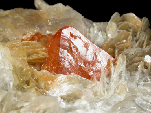 Scheelite on Muscovite from Pingwu, Sichuan, China