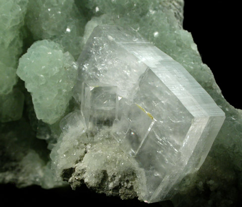 Hydroxyapophyllite-(K) (formerly apophyllite-(KOH)) on Prehnite from Chantilly Quarry, Loudoun County, Virginia