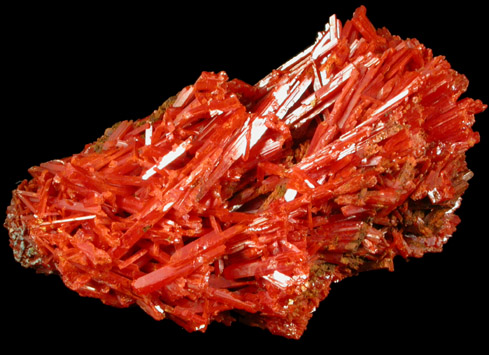 Crocoite from Dundas, Tasmania, Australia