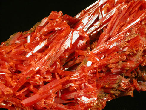 Crocoite from Dundas, Tasmania, Australia