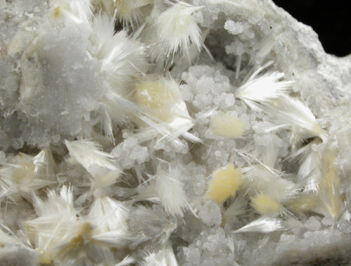 Mordenite from Coromandel Peninsula, North Island, New Zealand