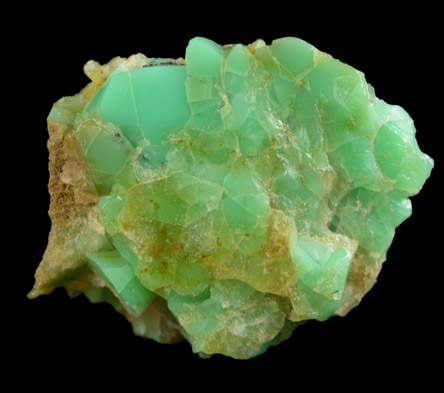 Chrysoprase (nickel-rich chalcedony) from Adams Brook, Newfane, Windham County, Vermont