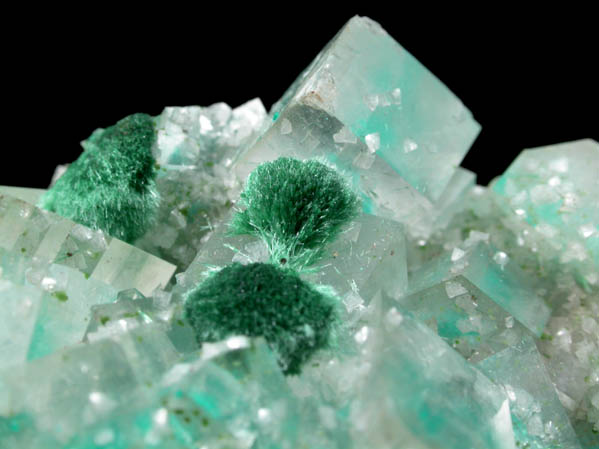 Dioptase inclusions in Calcite with Mottramite and Malachite from Tsumeb Mine, Otavi-Bergland District, Oshikoto, Namibia