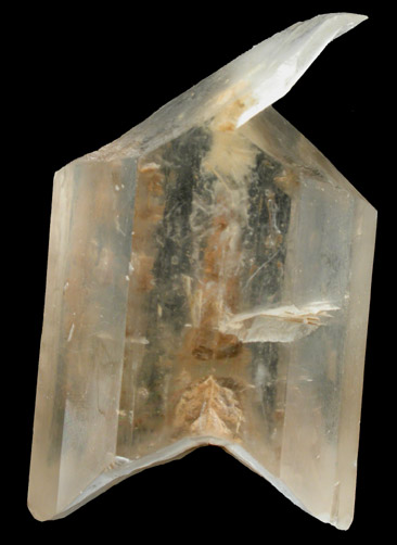 Gypsum var. Selenite Twinned Crystals from Lake Gilles, Corunna Station, South Australia, Australia