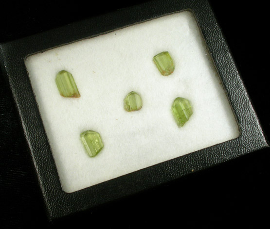 Forsterite var. Peridot - set of five crystals in Riker Mount from St. John's Island, Red Sea, Egypt