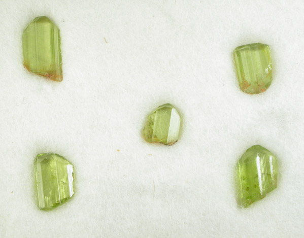 Forsterite var. Peridot - set of five crystals in Riker Mount from St. John's Island, Red Sea, Egypt