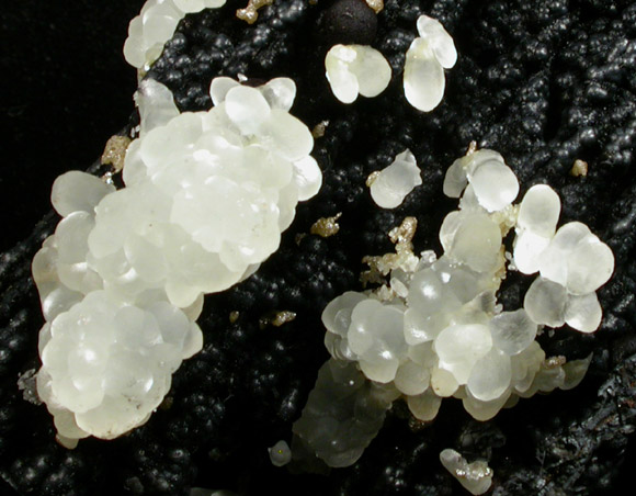 Smithsonite on smronadite from Proprietary Mine, Broken Hill, New South Wales, Australia