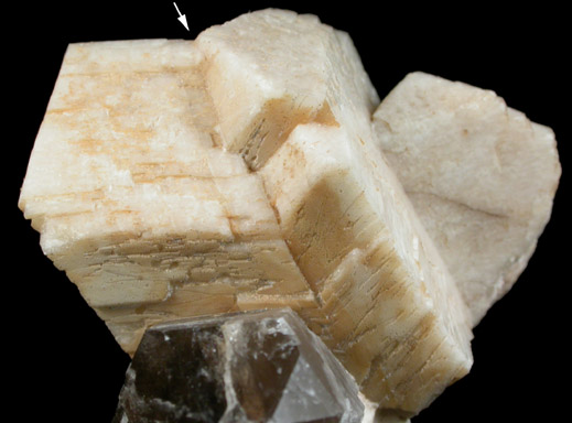 Microcline (Manebach-law twinned crystals) with Quartz var. Smoky from Moat Mountain, Hale's Location, Carroll County, New Hampshire