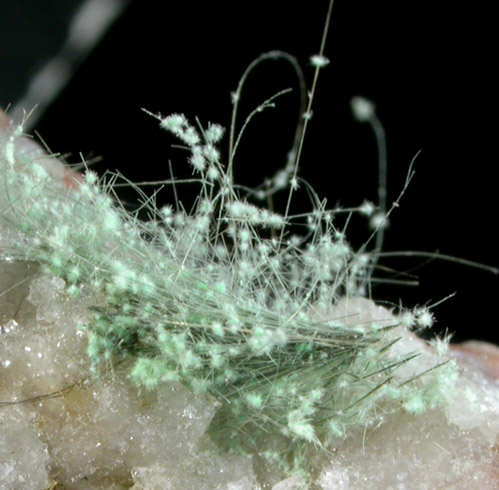 Jamborite pseudomorphs after Millerite in Quartz Geode from US Route 27 road cut, Halls Gap, Lincoln County, Kentucky