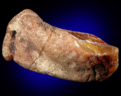 Amber - Cretaceous Fossilized Tree Resin from Sayreville Clay Pits, northwest of Kennedy Park, Sayreville, Middlesex County, New Jersey