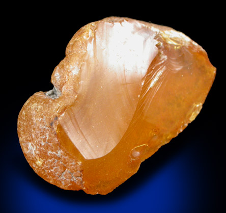 Amber - Cretaceous Fossilized Tree Resin from Sayreville Clay Pits, northwest of Kennedy Park, Sayreville, Middlesex County, New Jersey